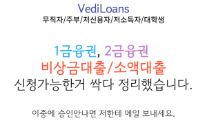 비상금대출 모음