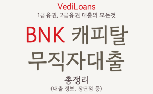 BNK 캐피탈 무직자대출